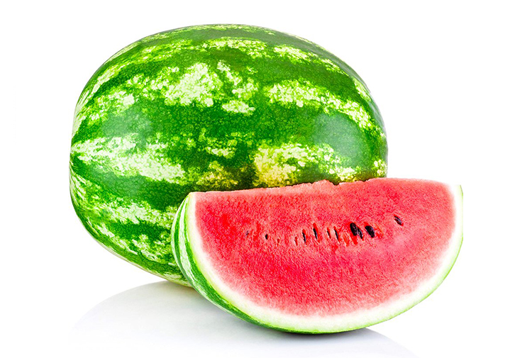 Alaca Watermelon